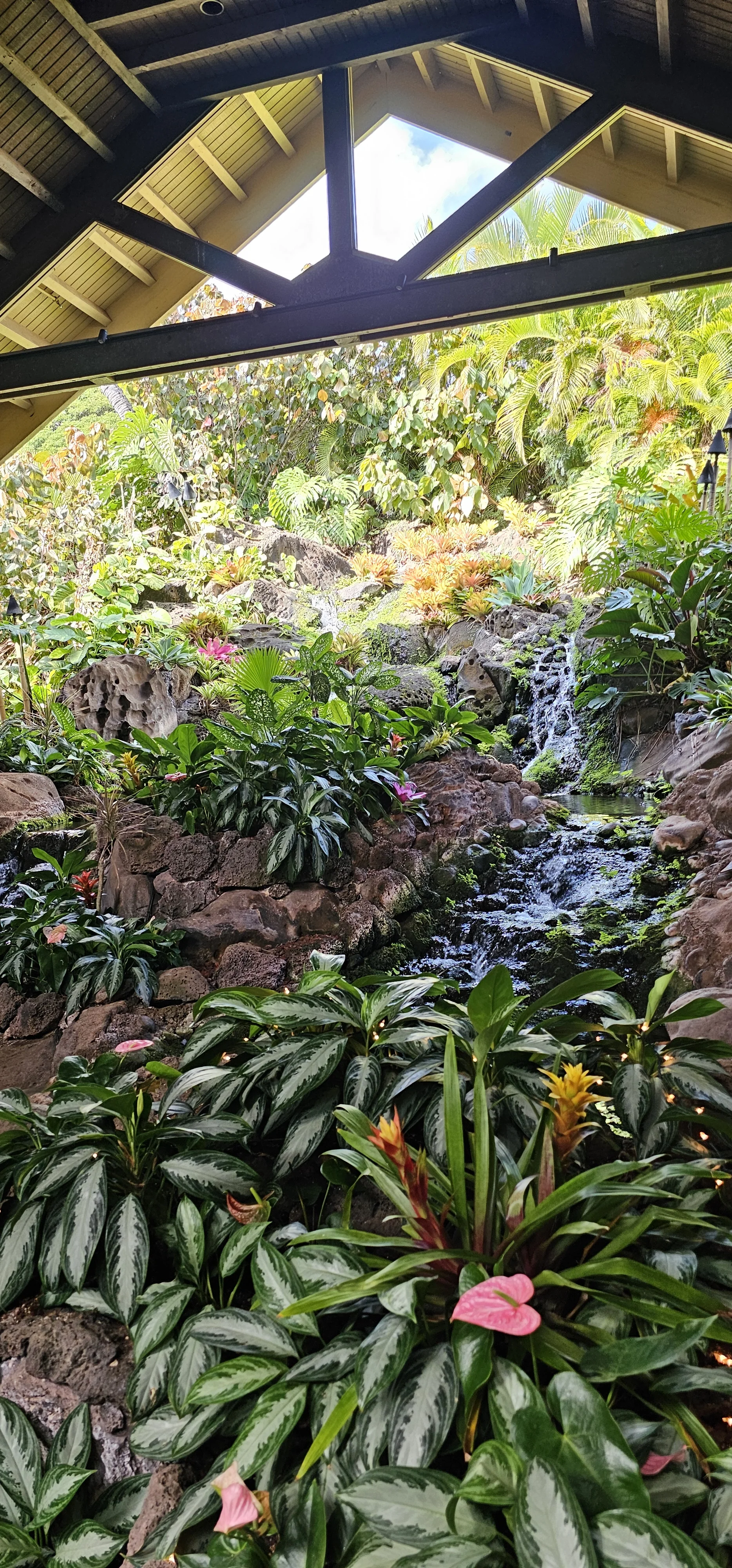 Duke's Kauai 2