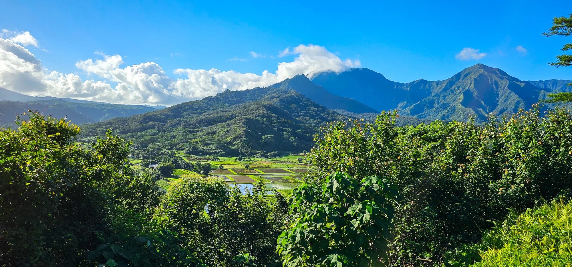 Hanalei Valley Lookout 3