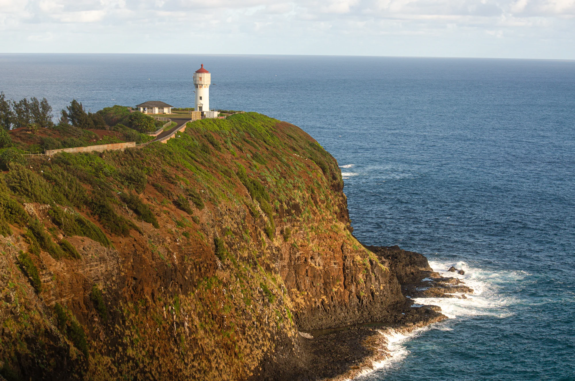 Birdwatching at Kīlauea Lighthouse 1