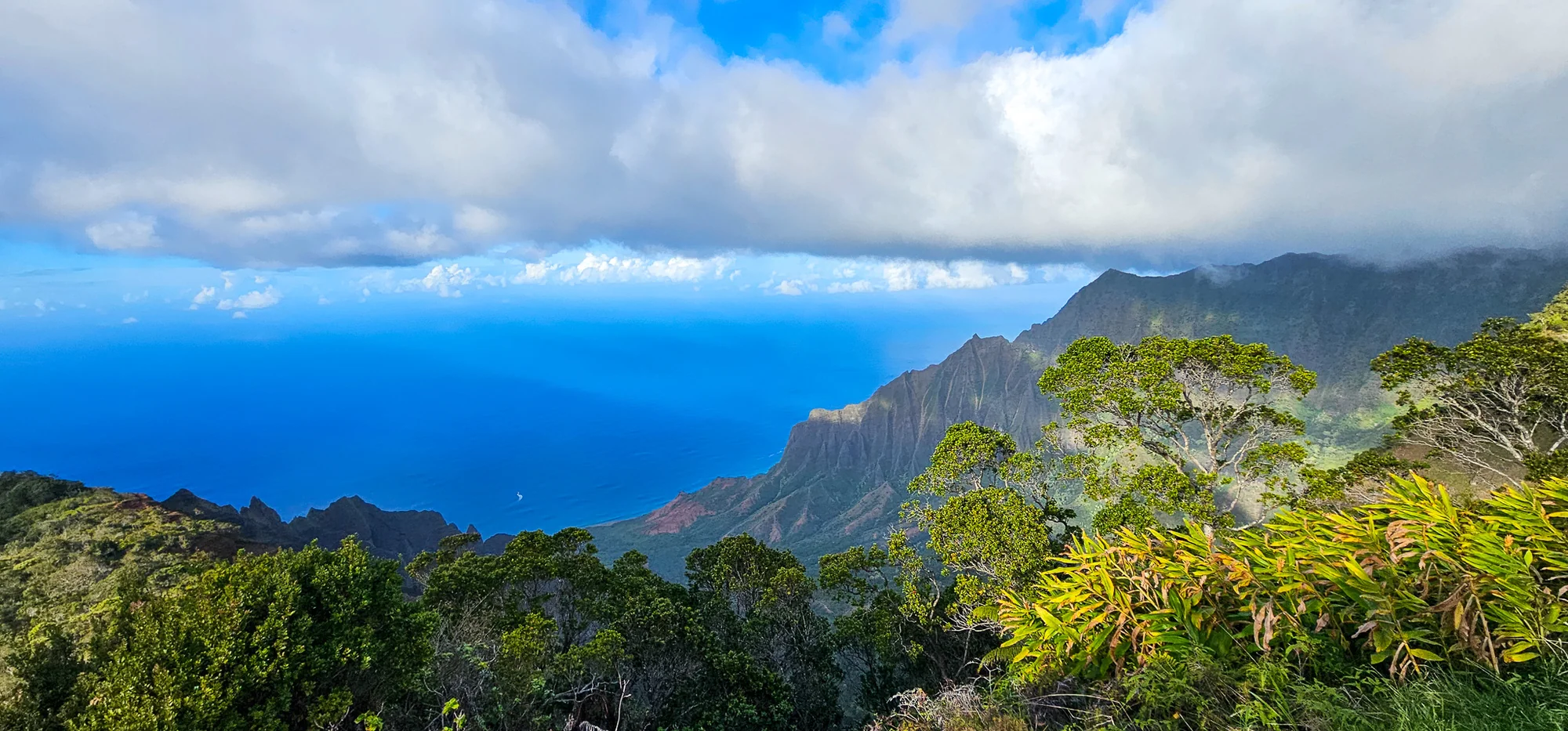 Waimea Canyon State Park 1