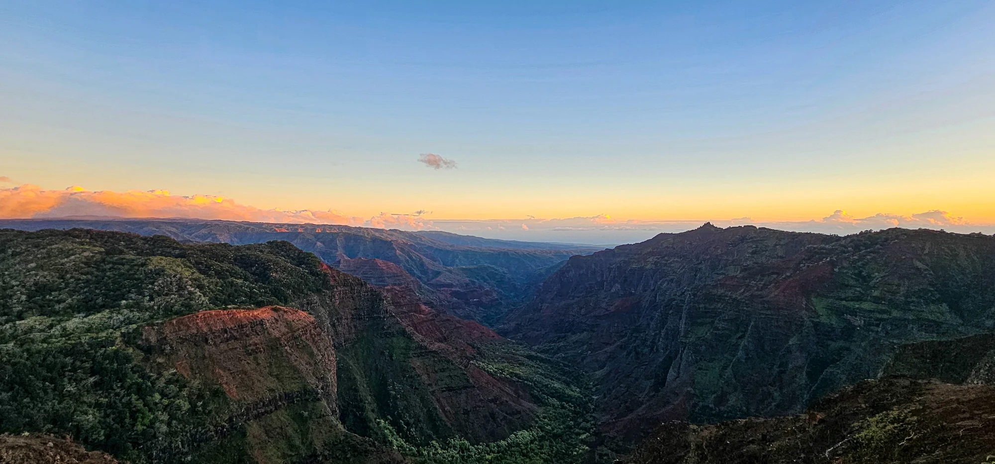 Waimea Canyon State Park 3