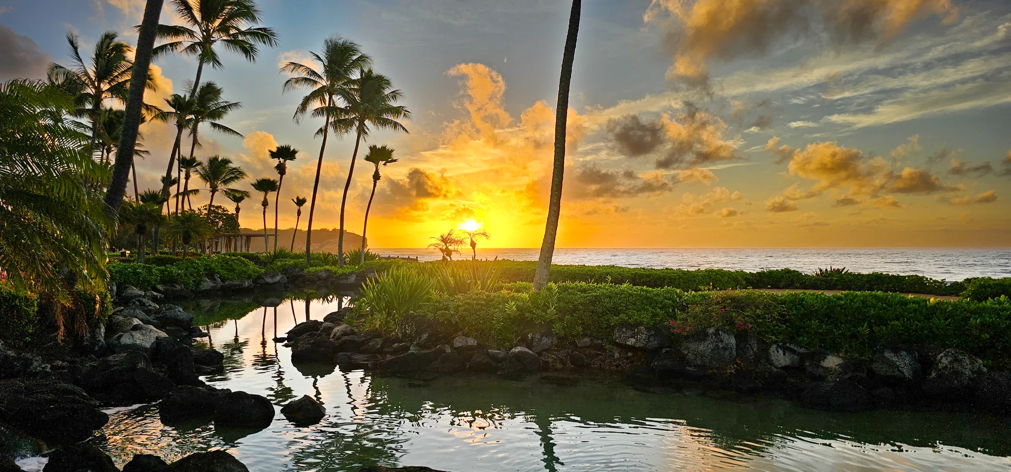 Koloa 1