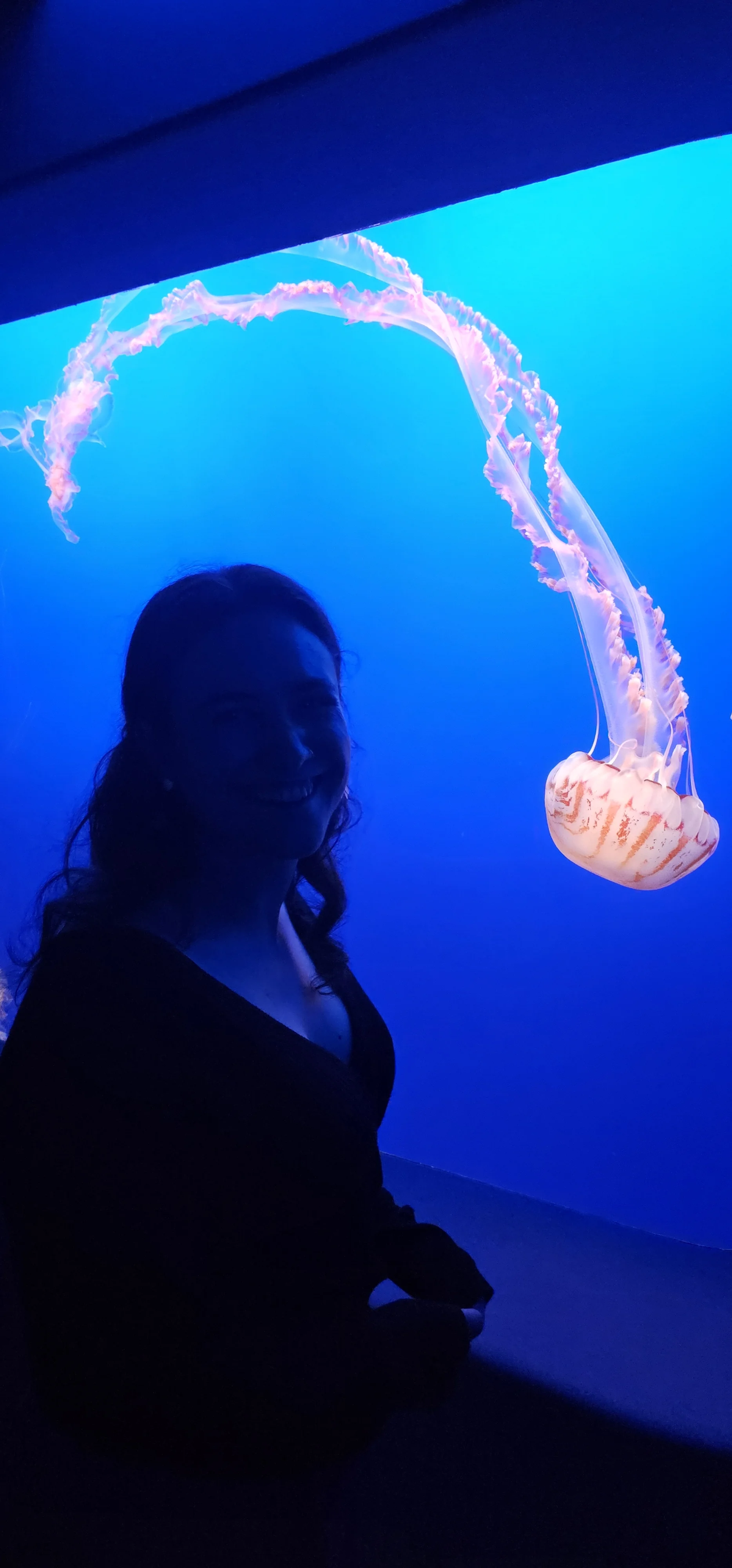 Monterey Bay Aquarium 4