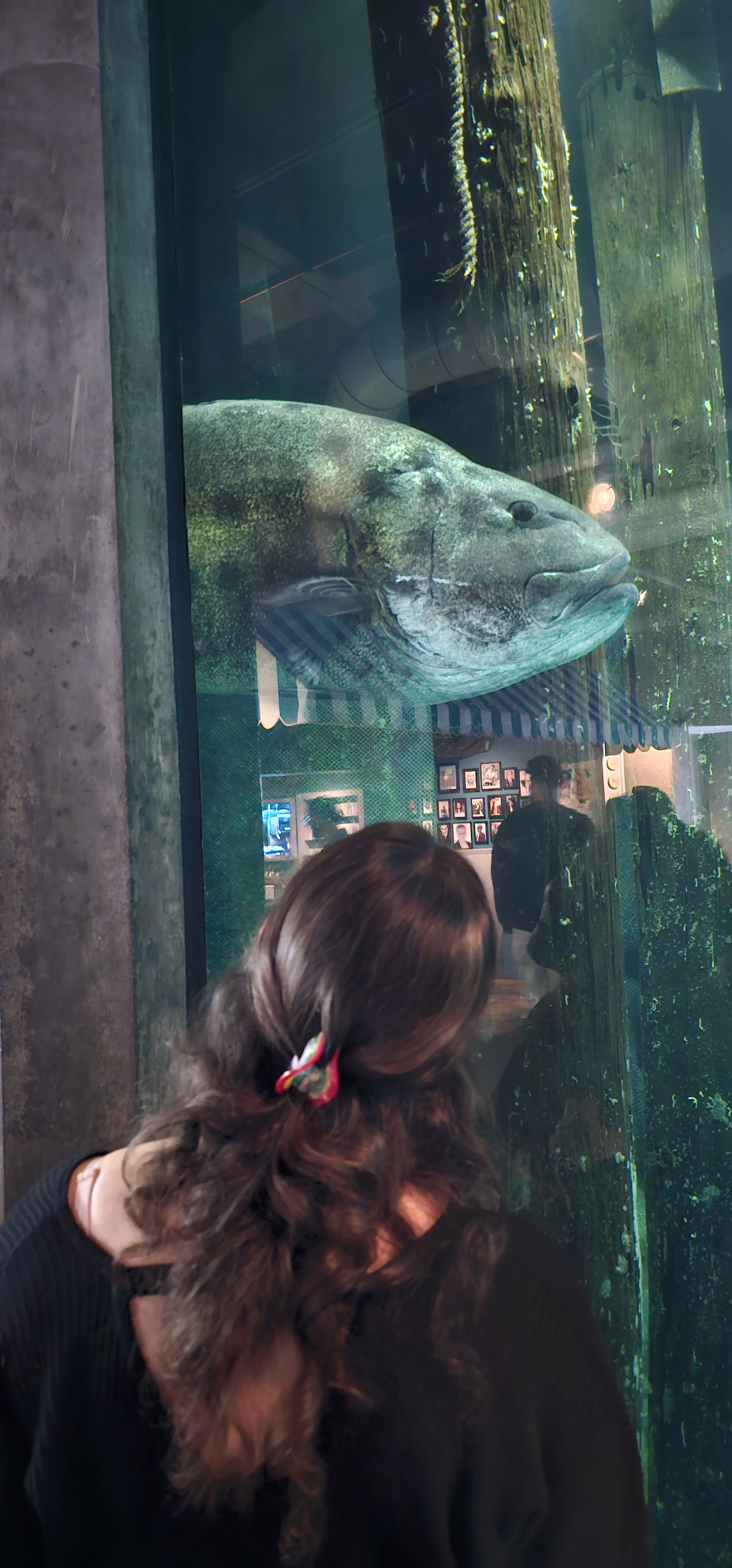 Monterey Bay Aquarium 5