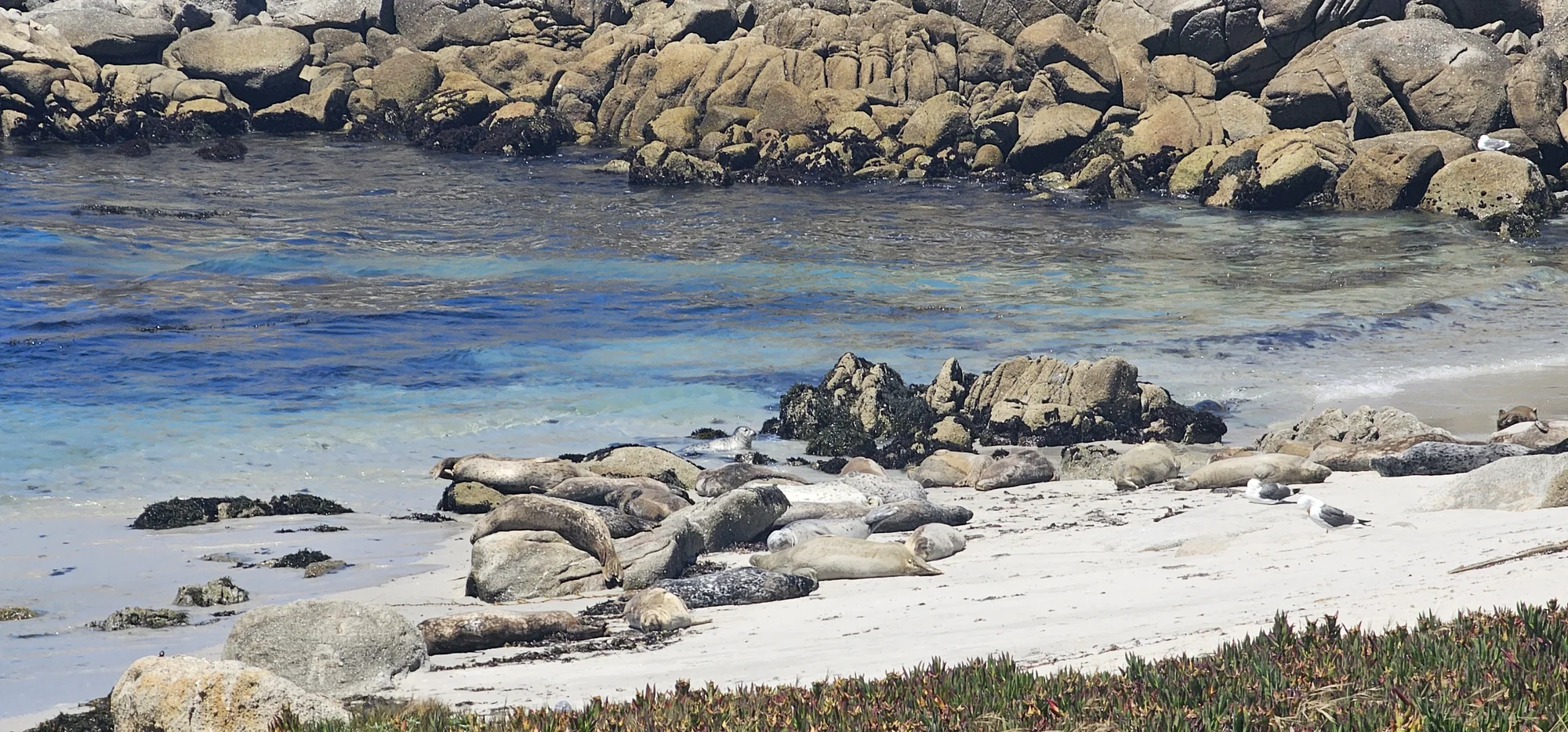 Monterey Bay Coastal Trail 3