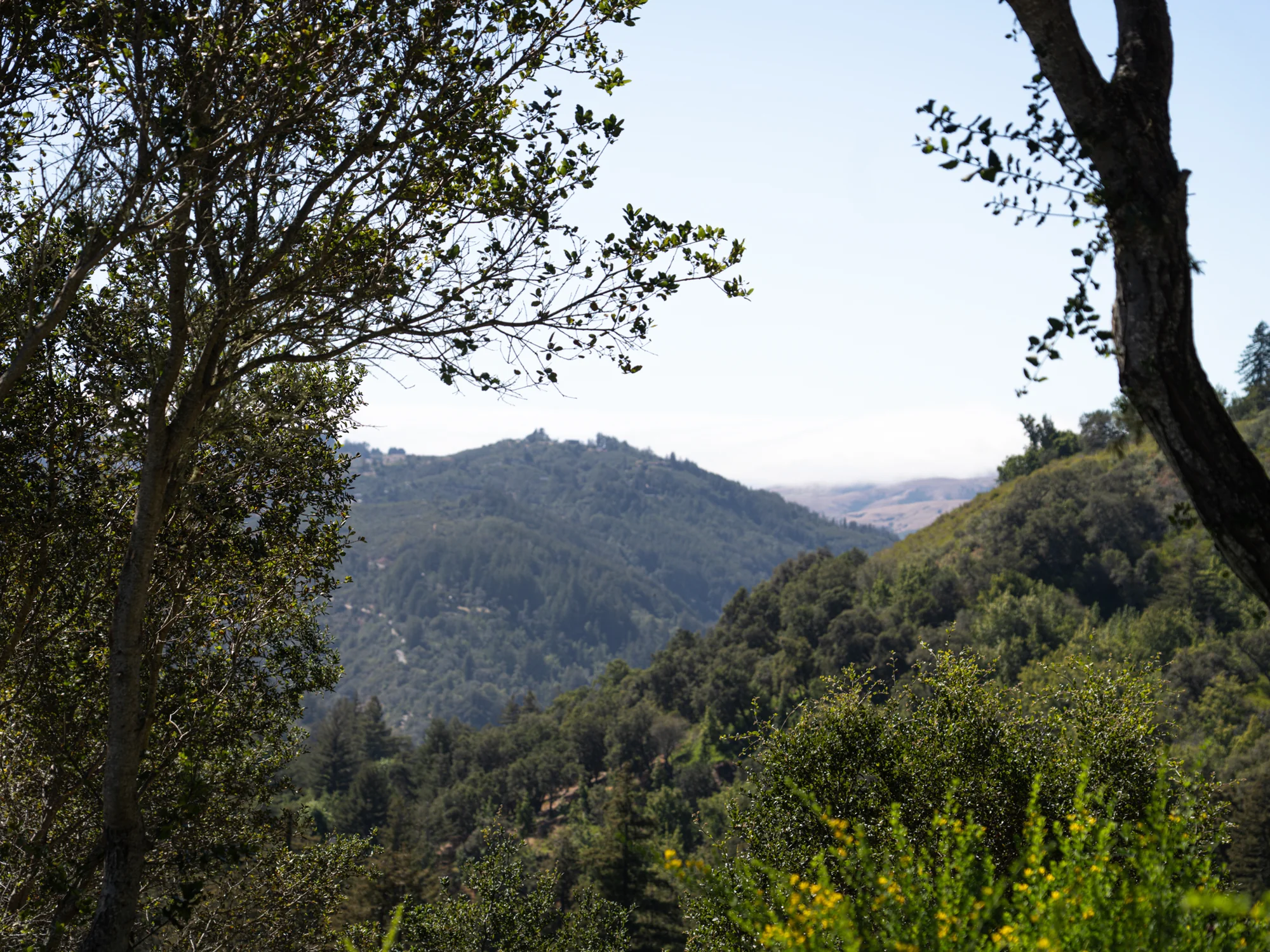Alila Ventana Big Sur 10