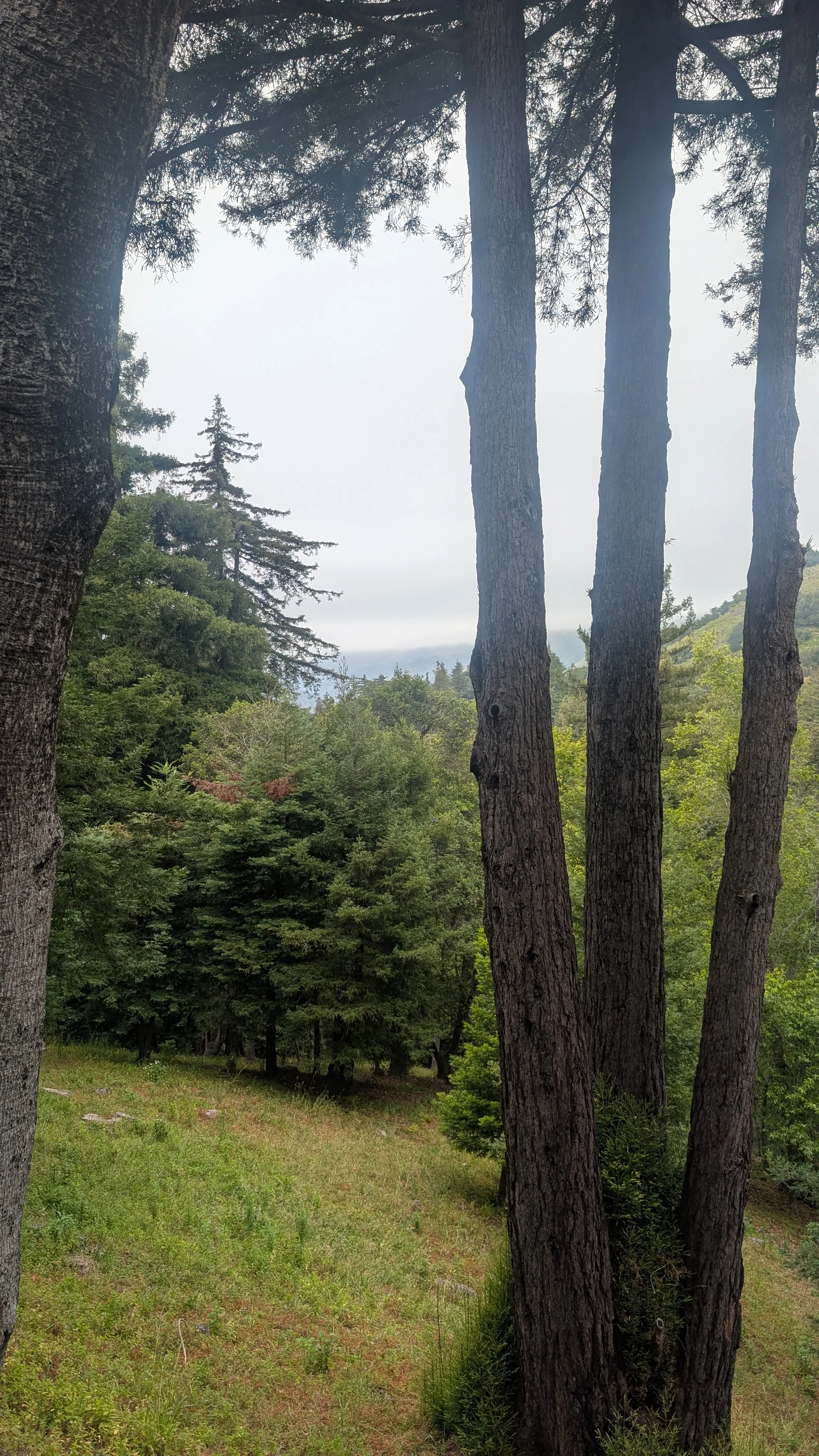 Alila Ventana Big Sur 1