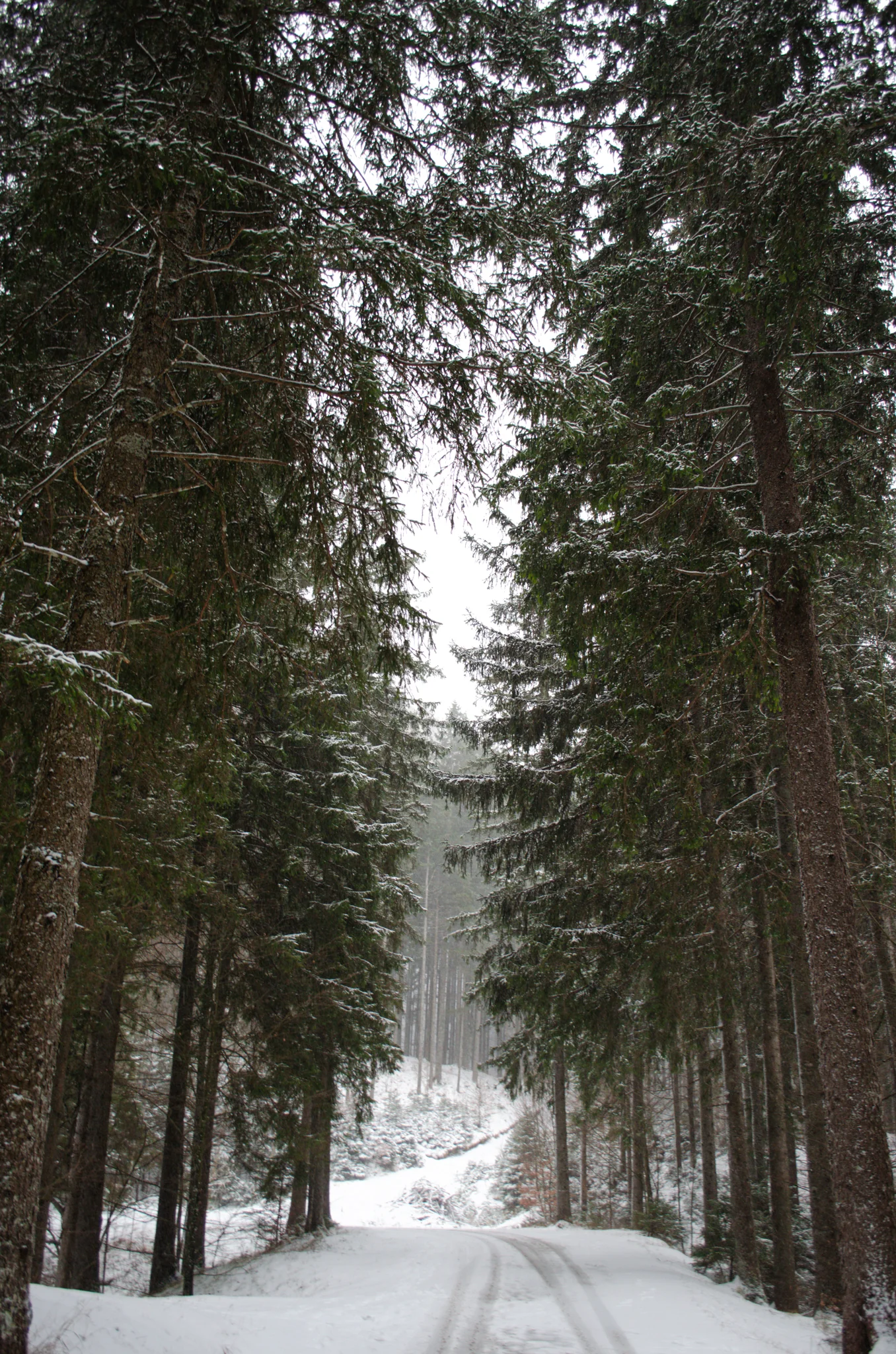 Ravenska Kocna Valley Viewpoint 2