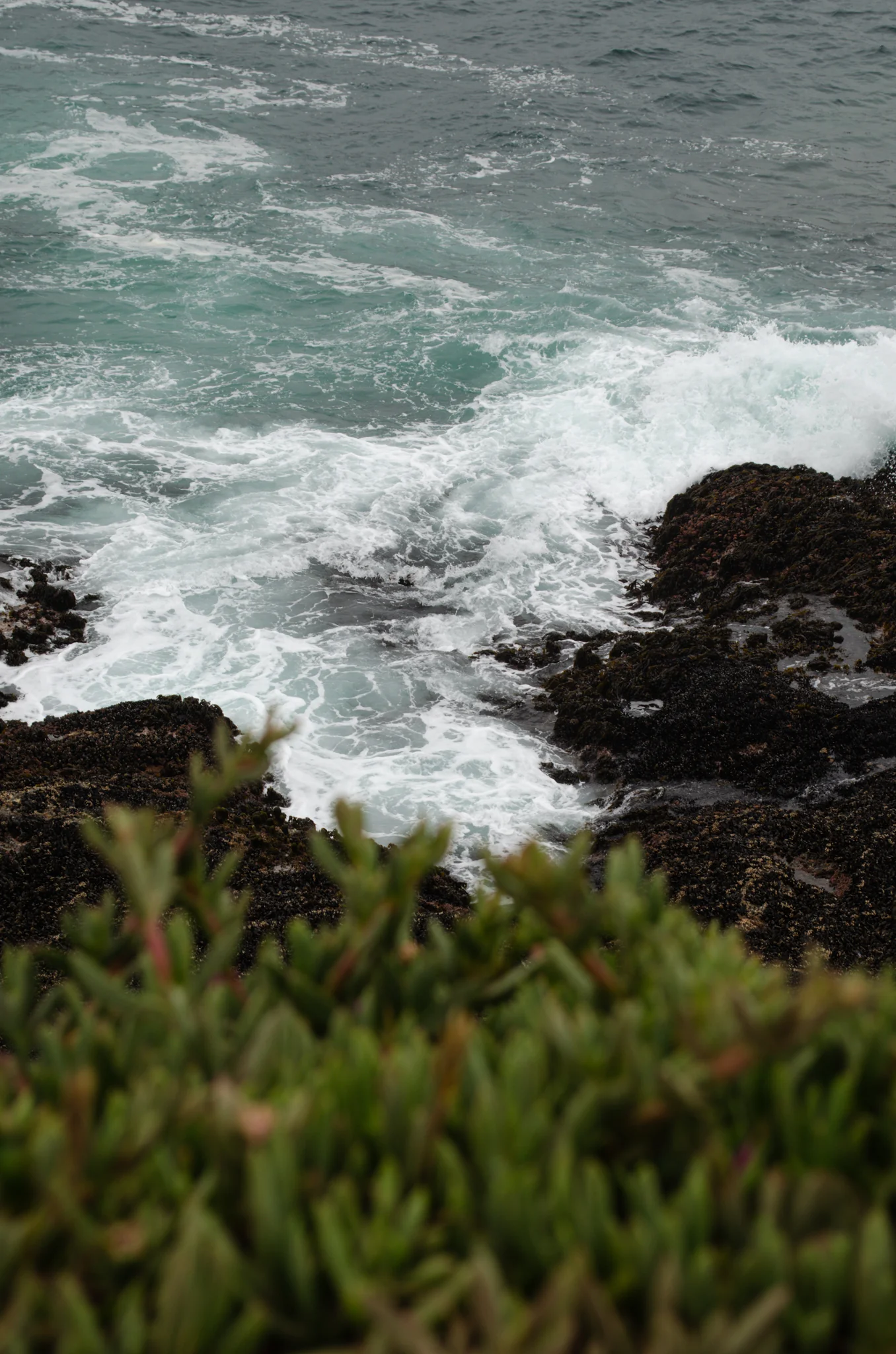Mendocino Headlands State Park 8