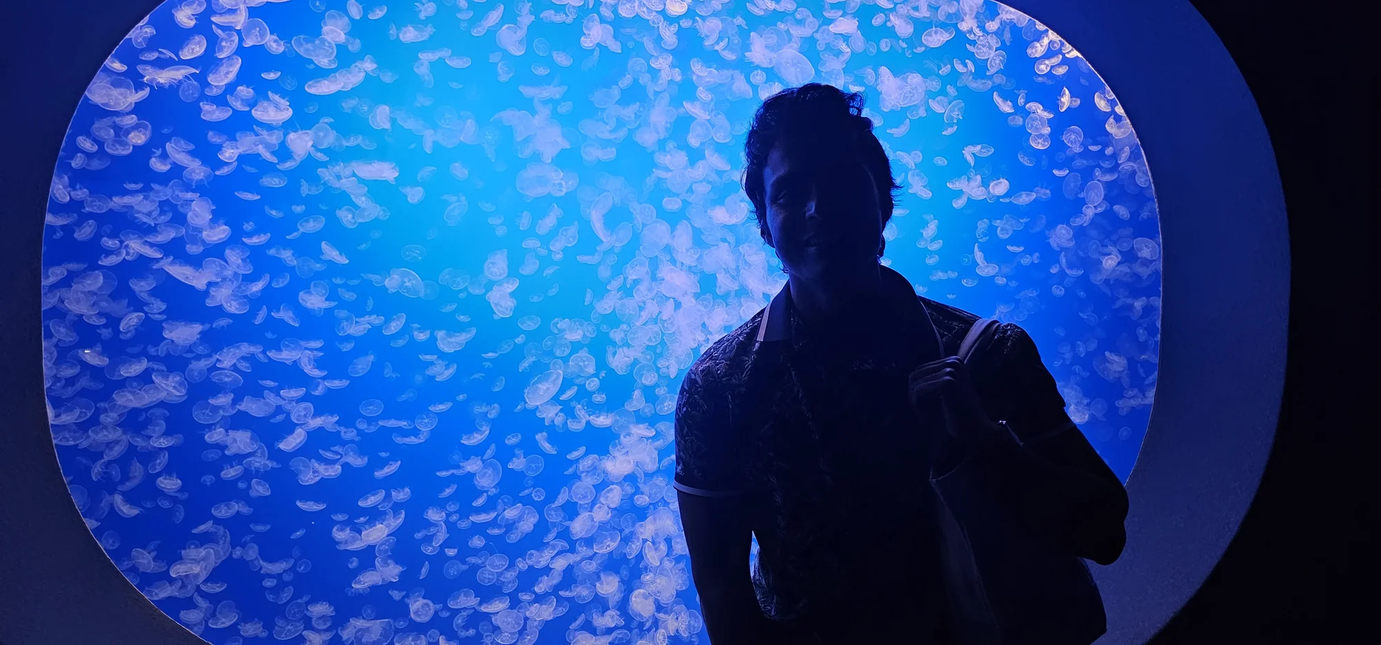 Monterey Bay Aquarium 2