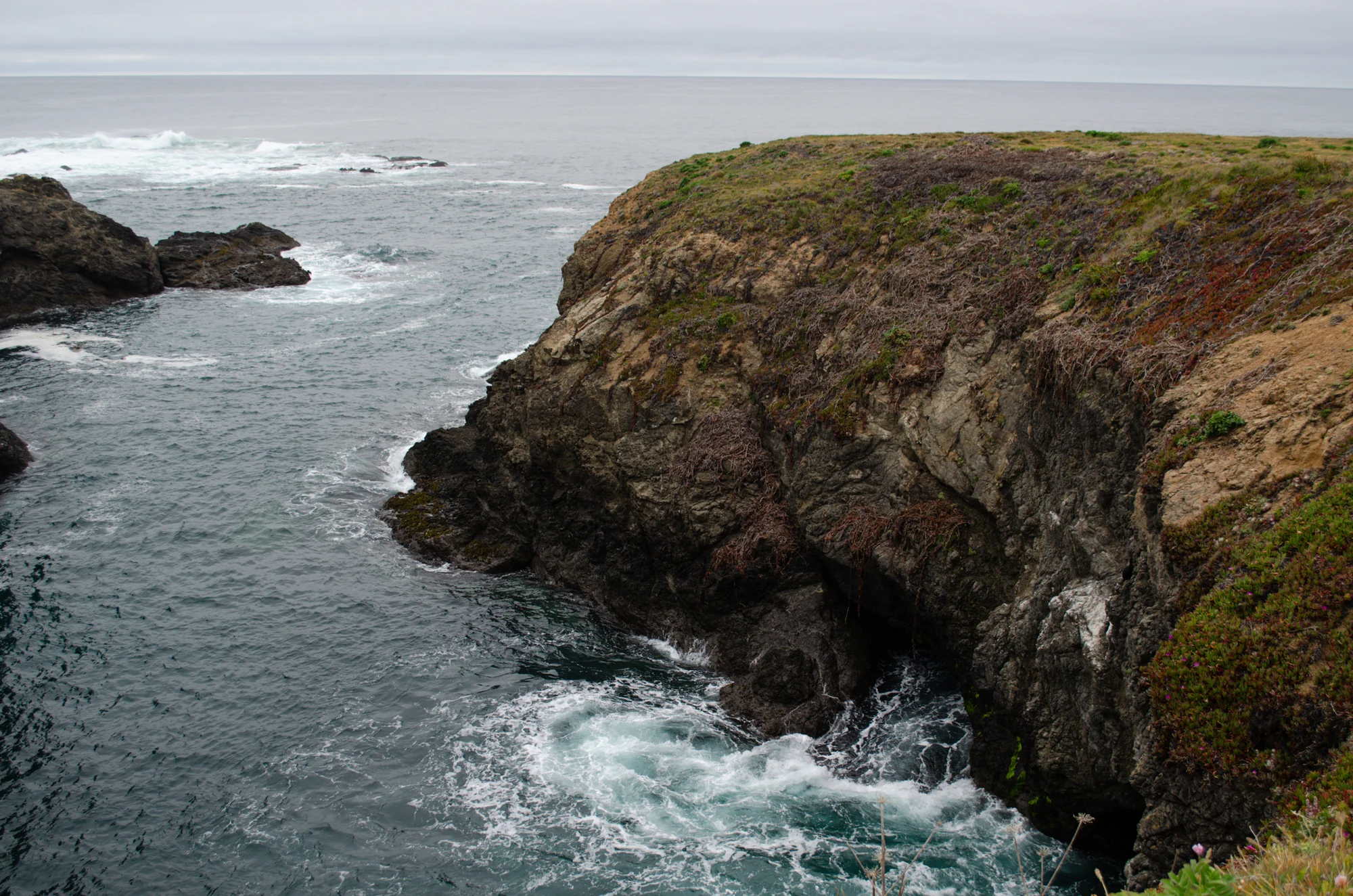 Mendocino Coast Botanical Gardens 21