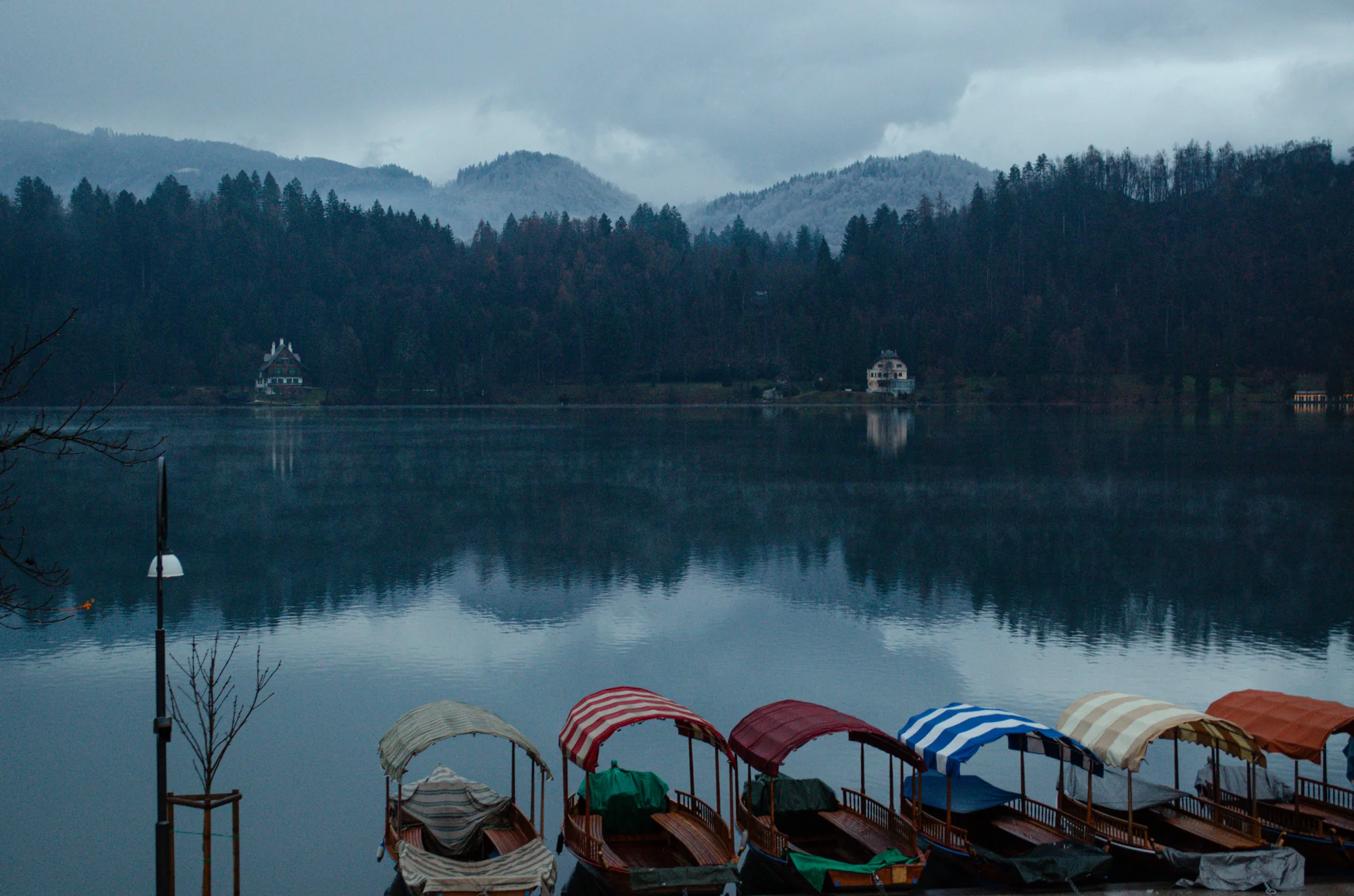 Bled 1