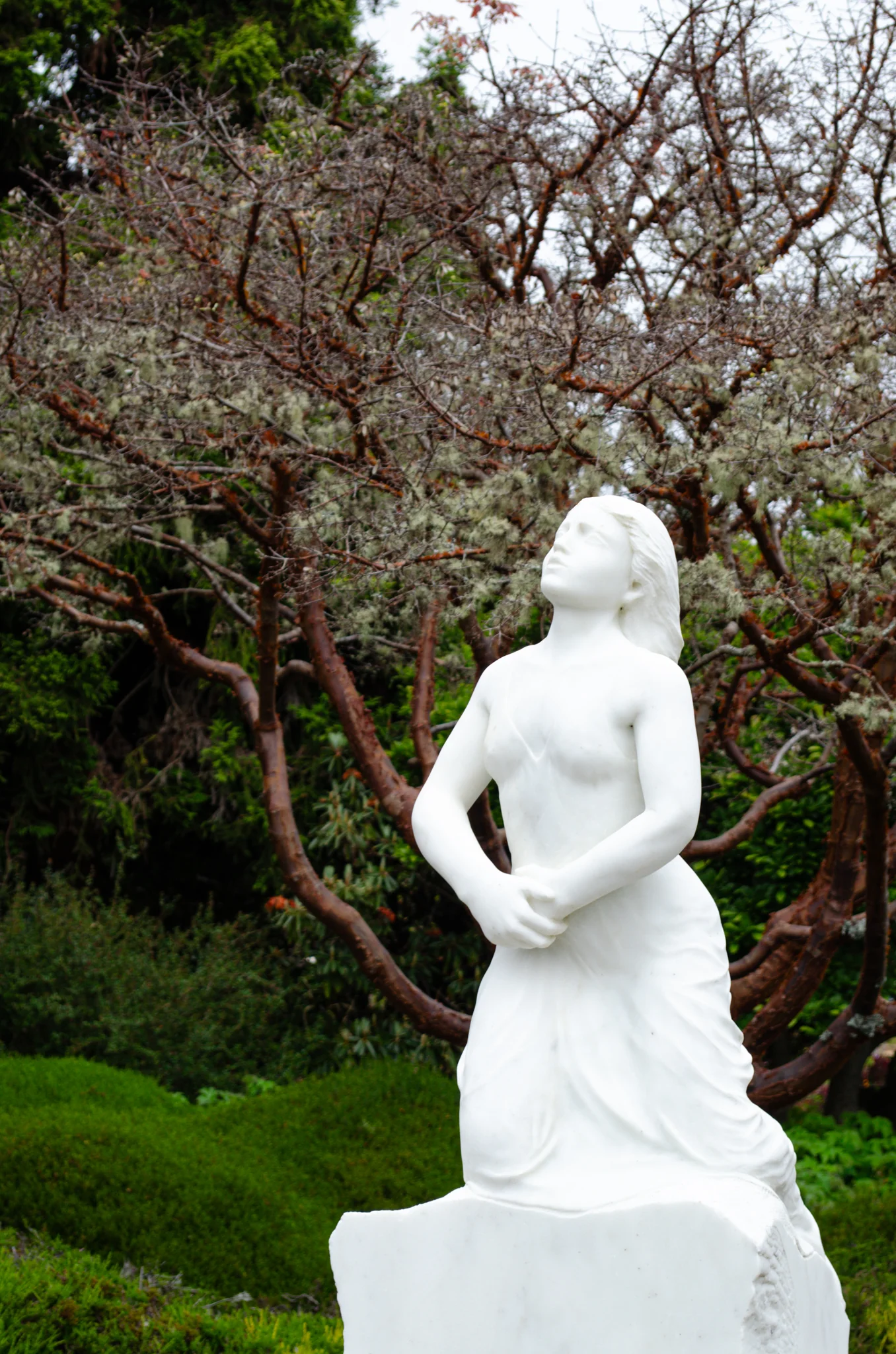 Mendocino Coast Botanical Gardens 20