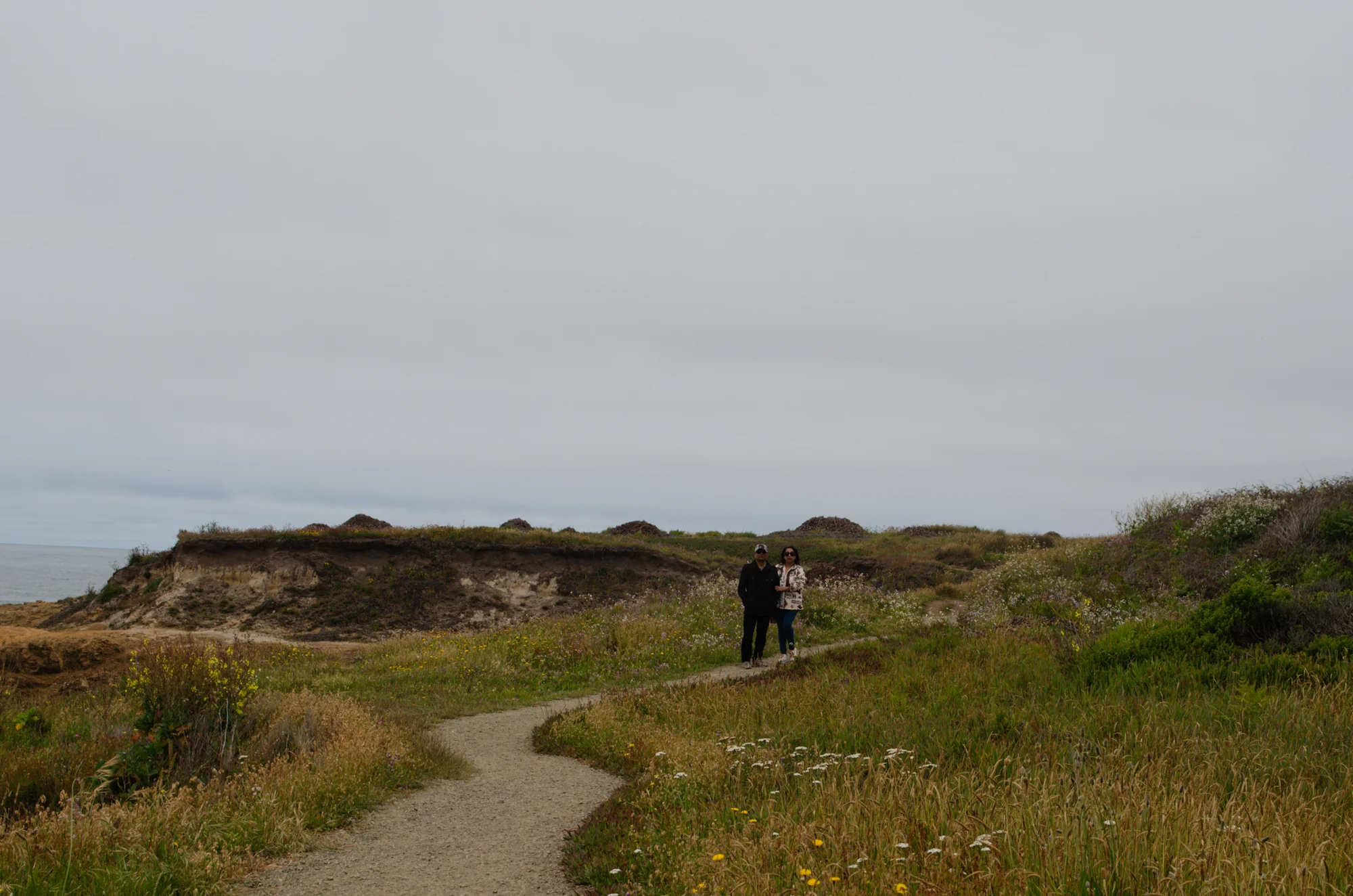 Mendocino Headlands State Park 6