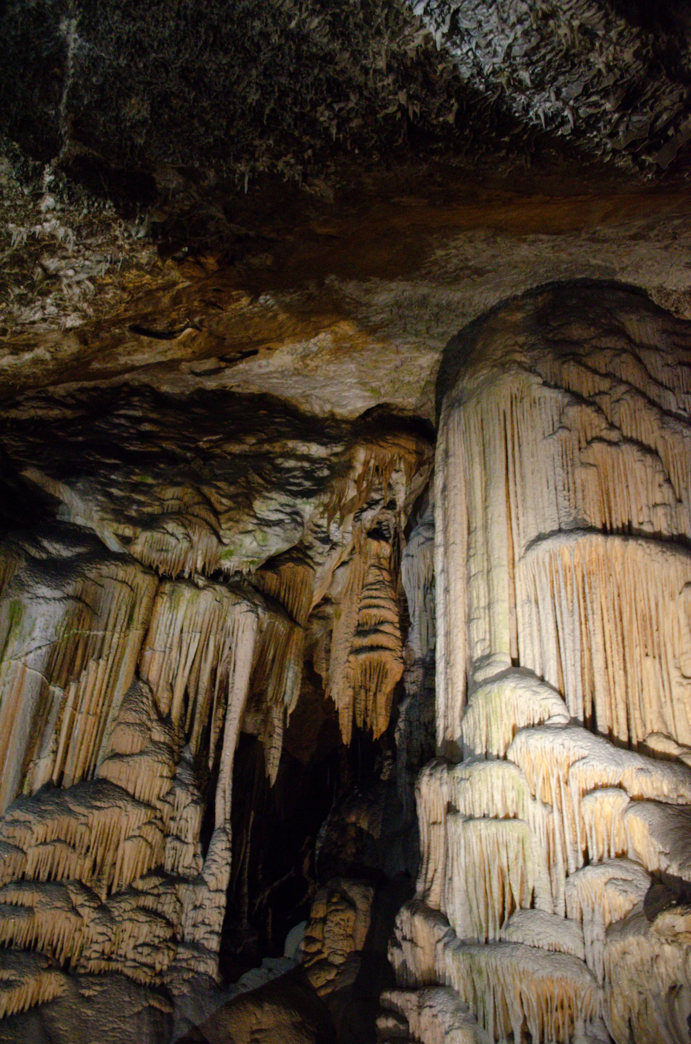 Postojna Cave 1