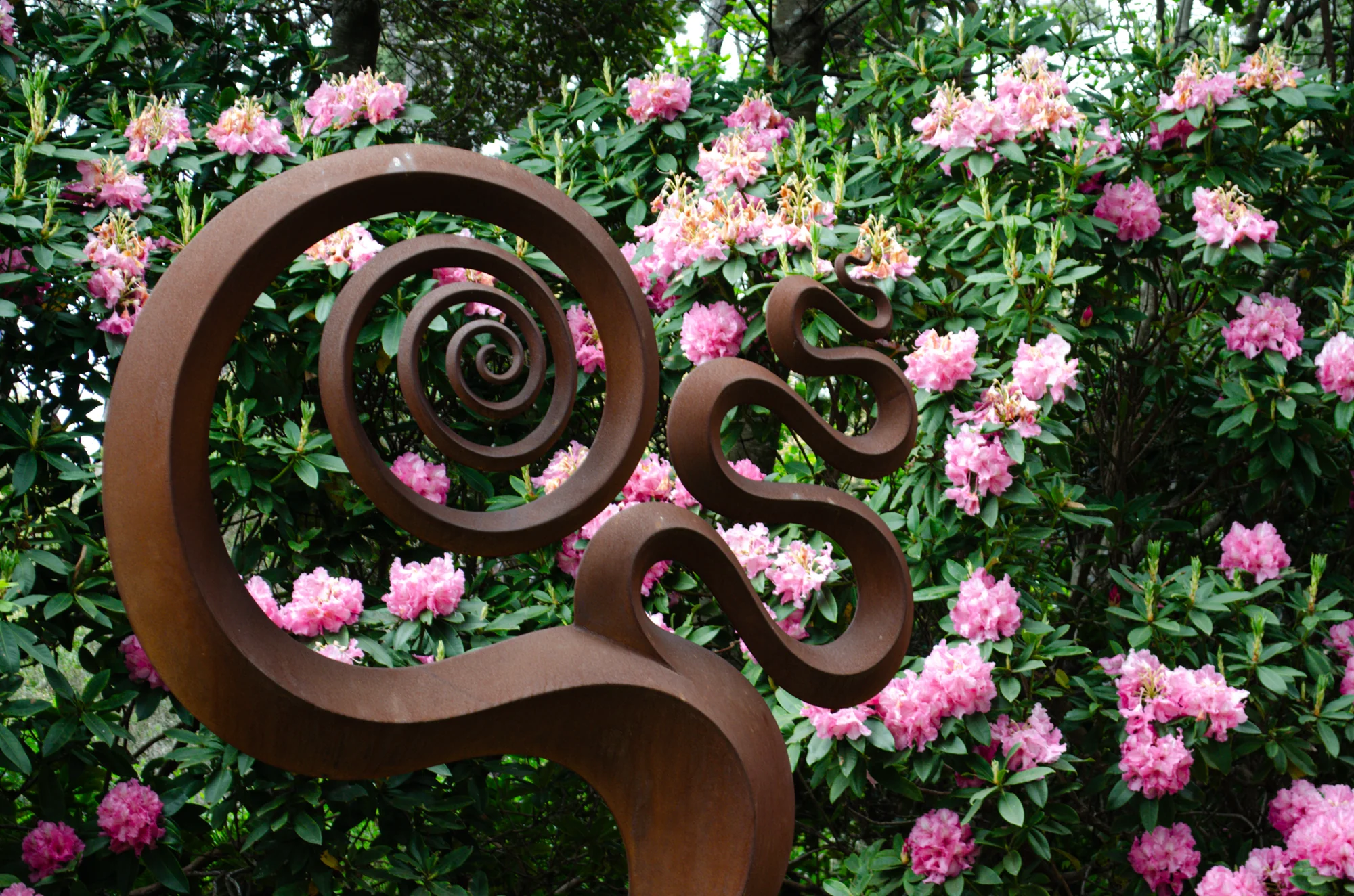 Mendocino Coast Botanical Gardens 18