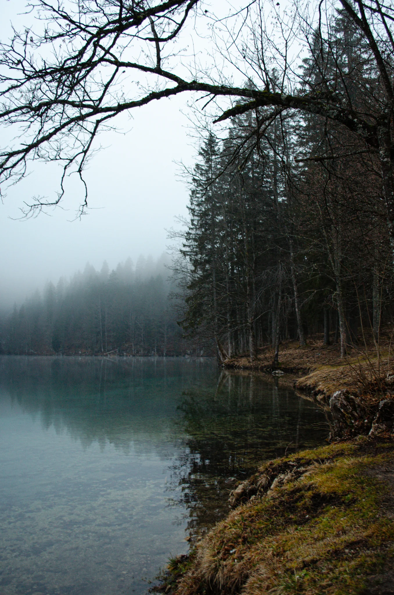 Laghi di Fusine 2