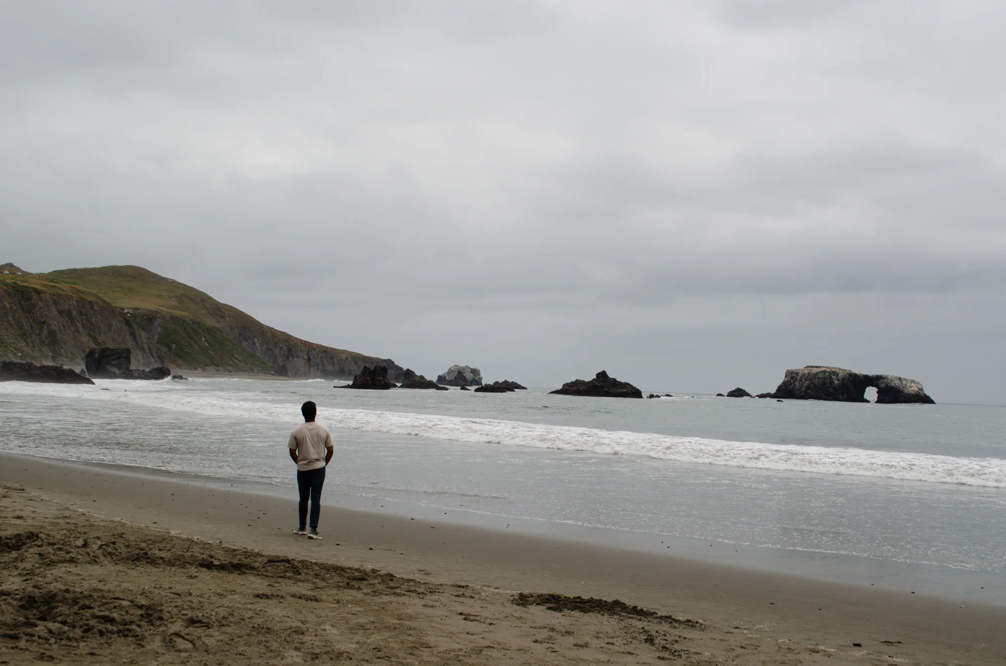 Goat Rock Beach 5
