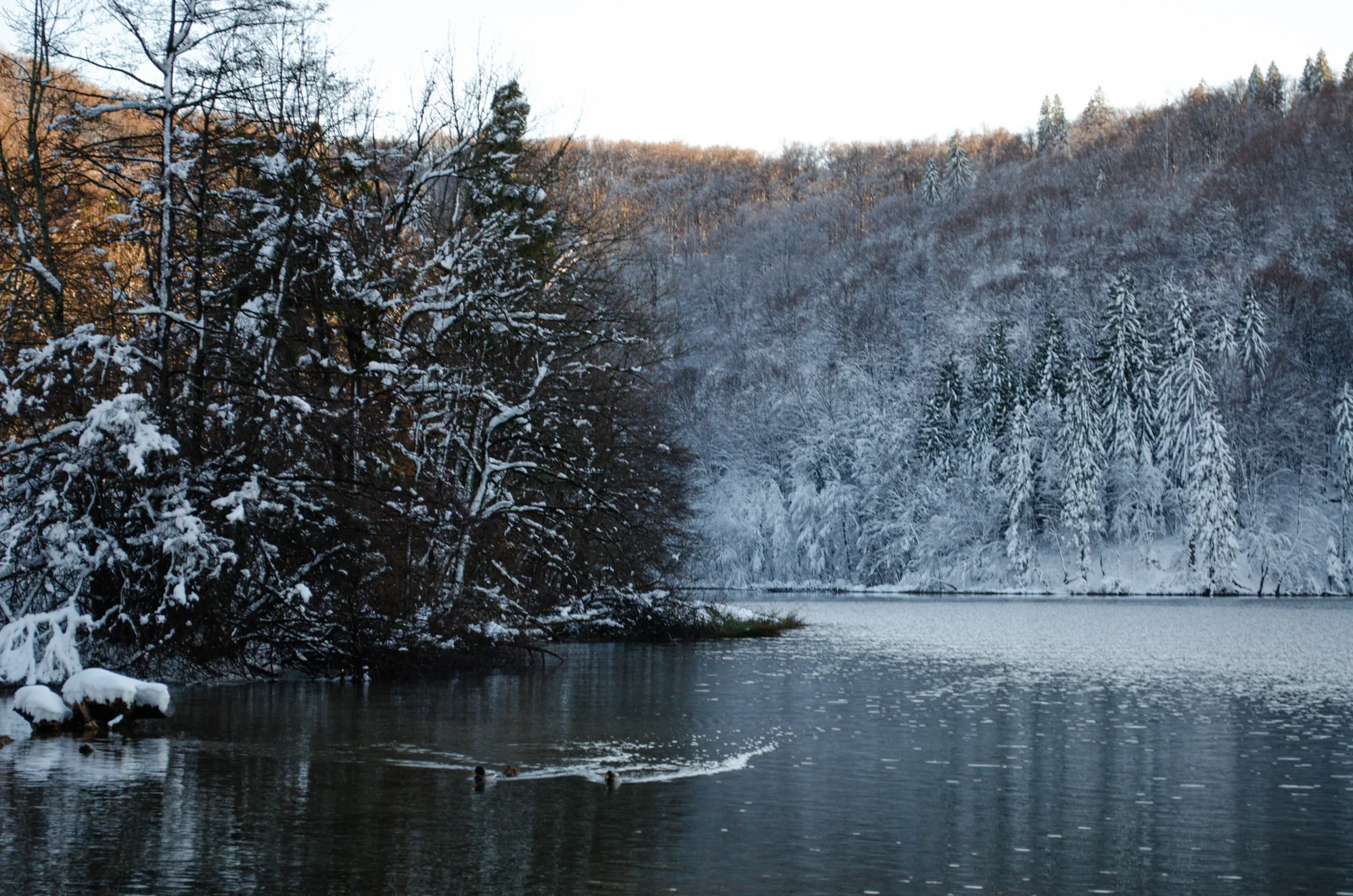 Plitvice Lakes National Park 5