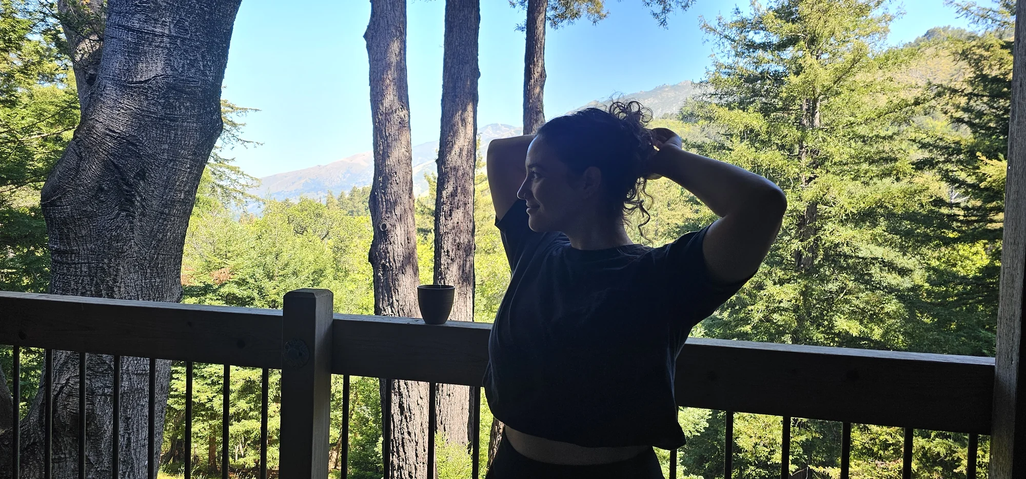 Alila Ventana Big Sur 2