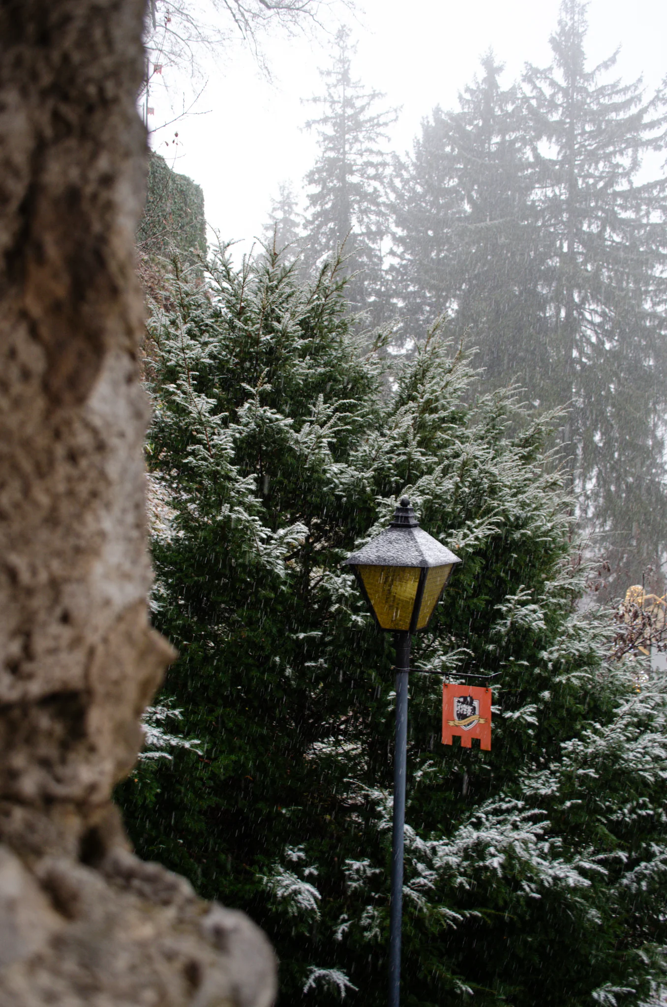 Bled Castle 1