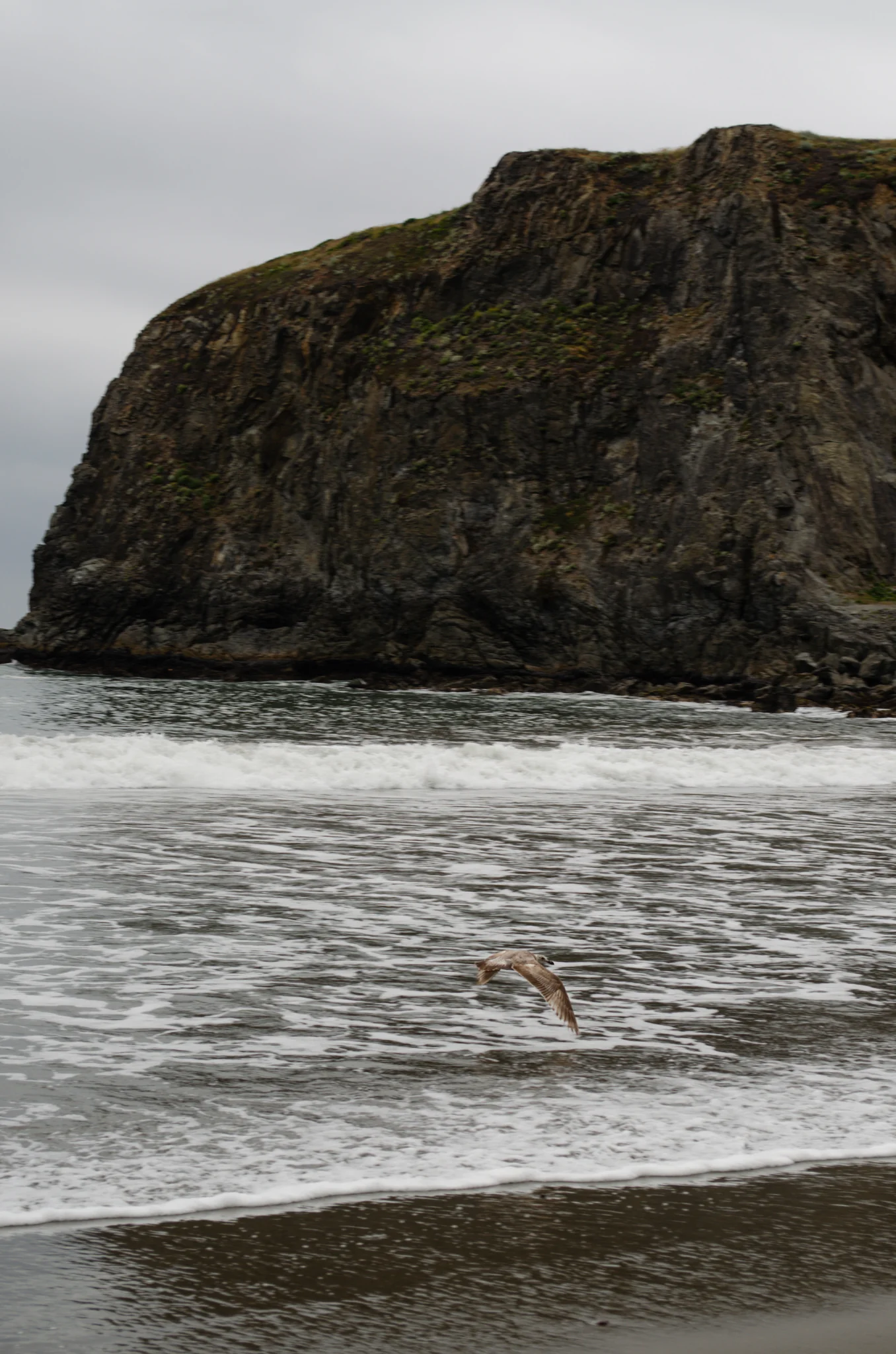 Goat Rock Beach 10