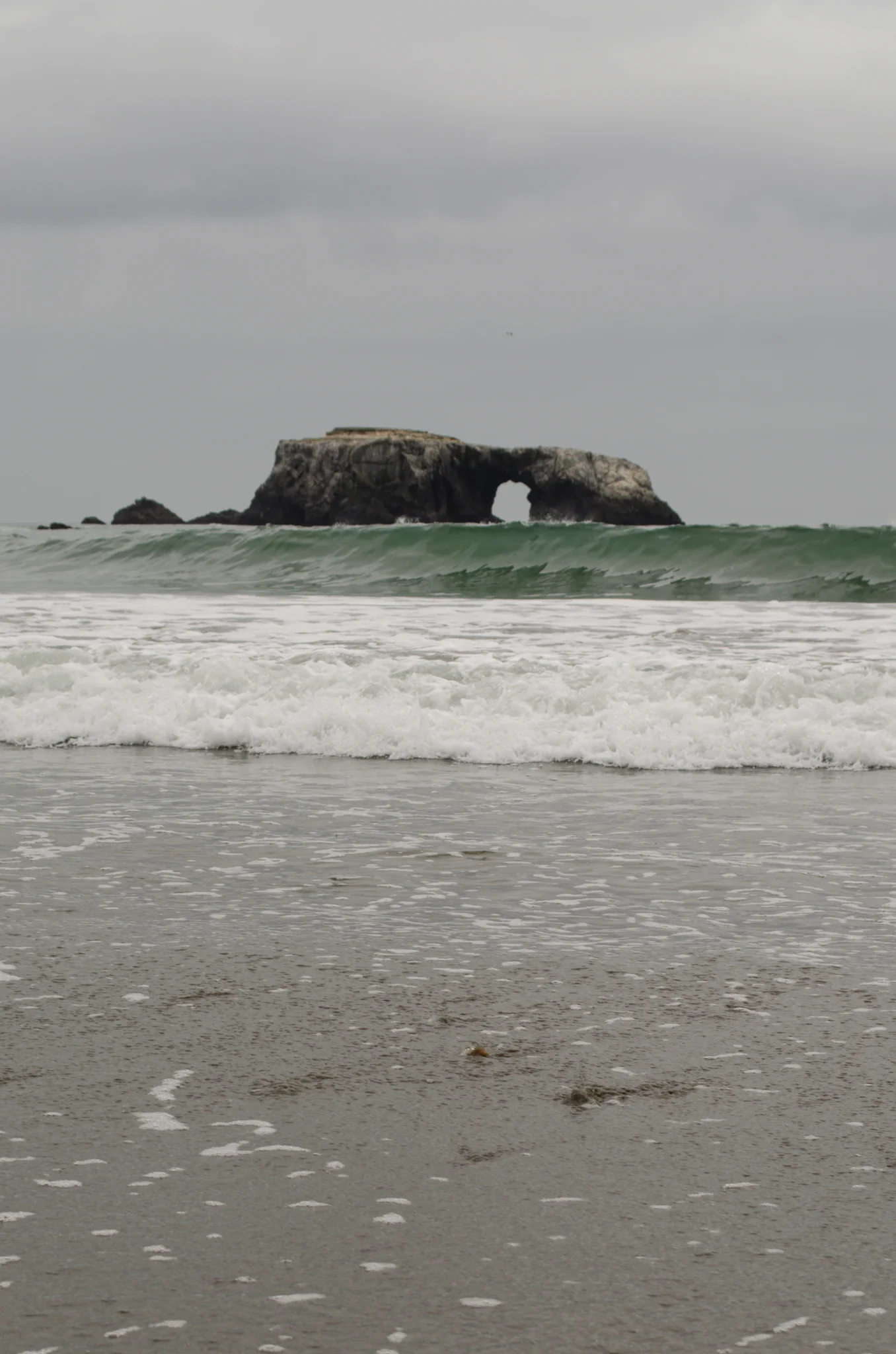 Goat Rock Beach 6