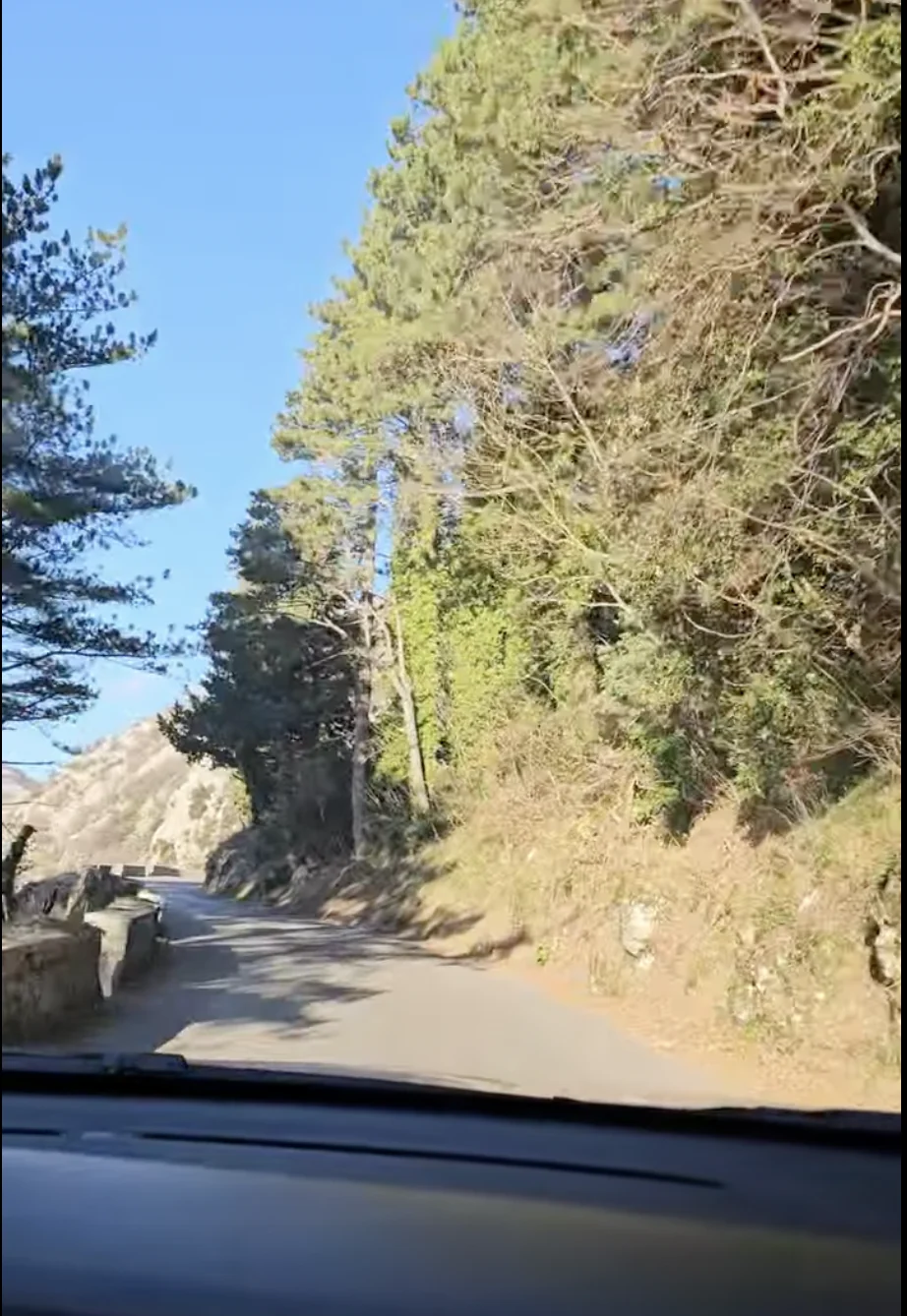 Serpentine Road towards peak to Cetinje Monastery 2