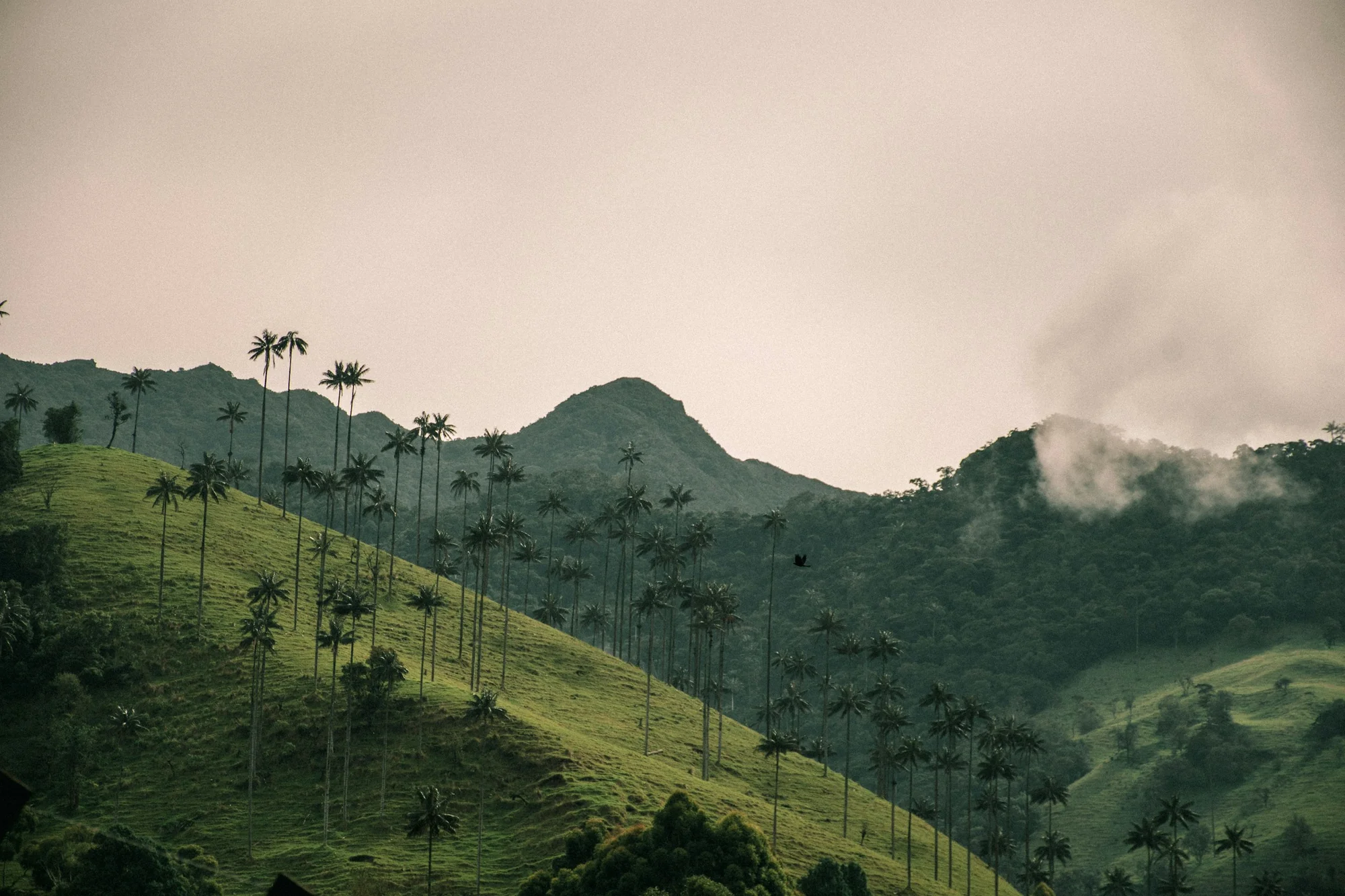 7 Days in Colombia 1