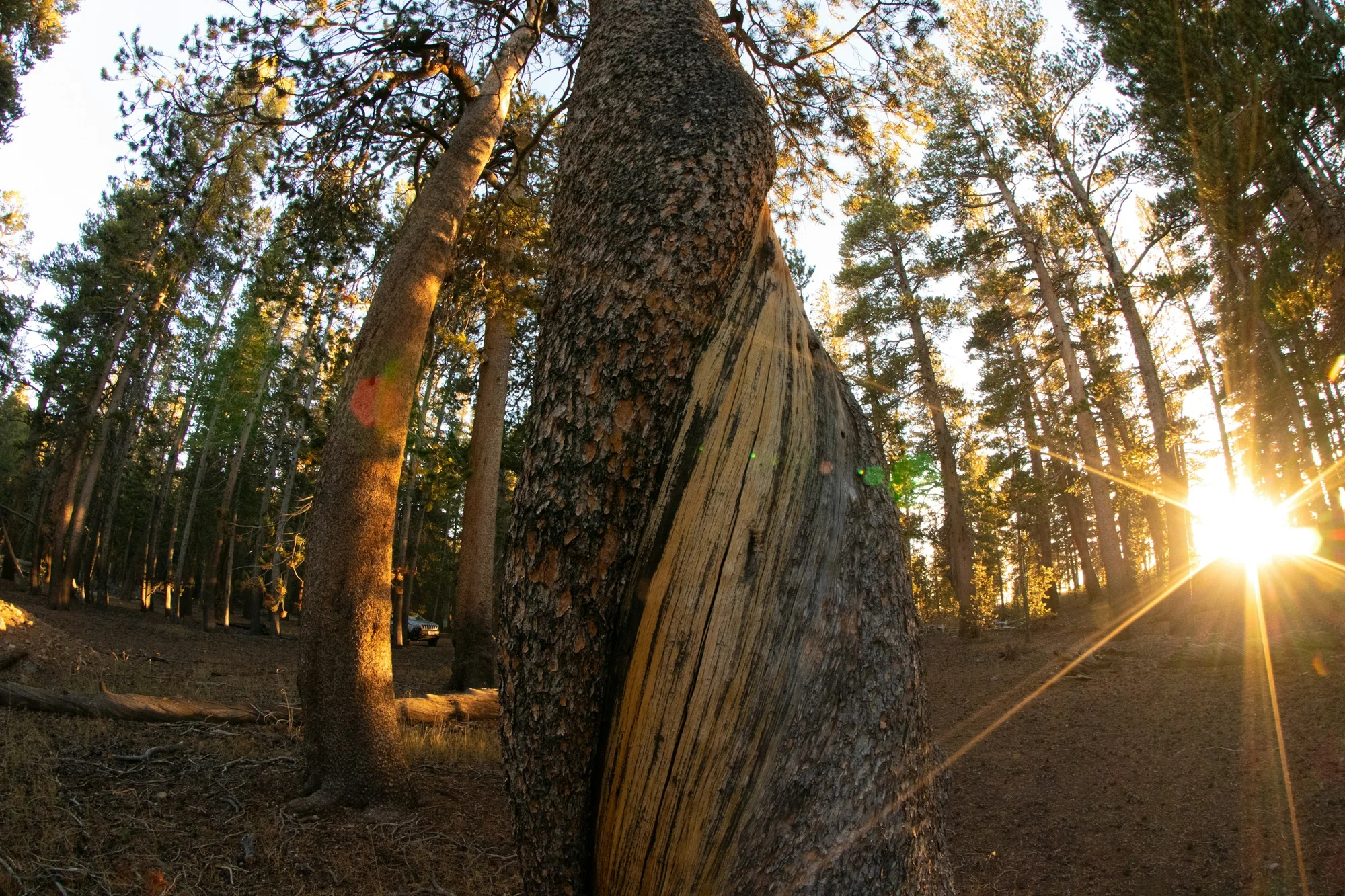 5 Days in Yosemite and the Eastern Sierra 1