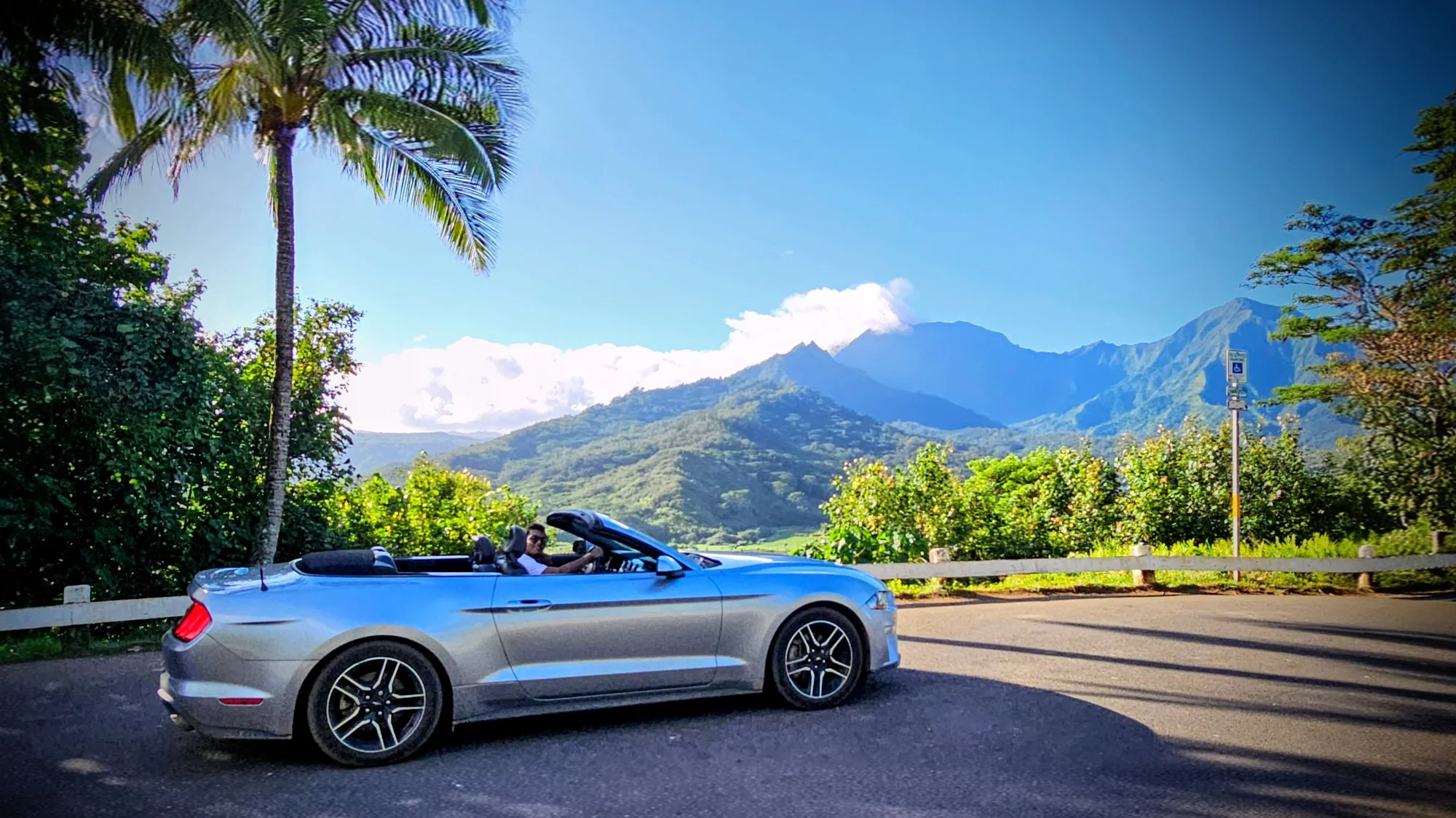 Hanalei Valley Lookout 1