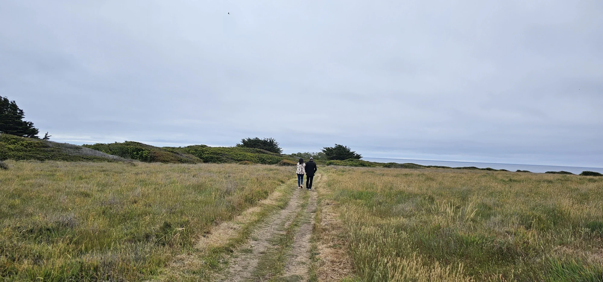 Point Cabrillo Lighthouse 1
