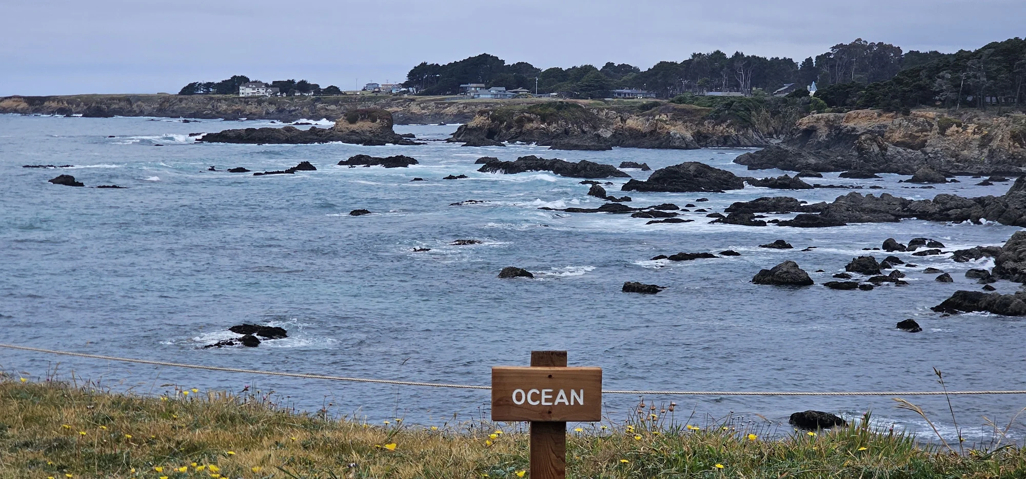 Mendocino Coast Botanical Gardens 4