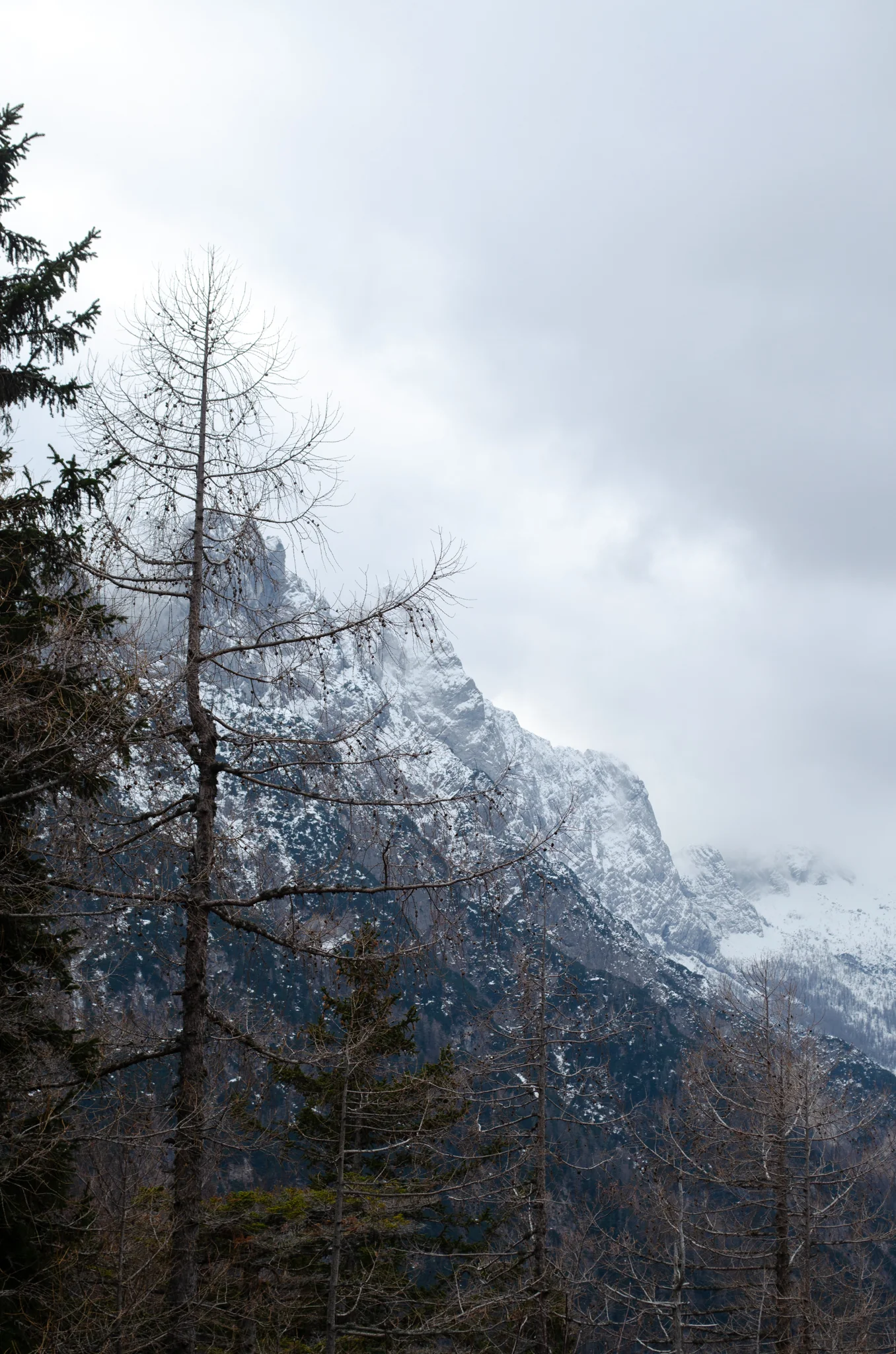 Vršič Pass 5