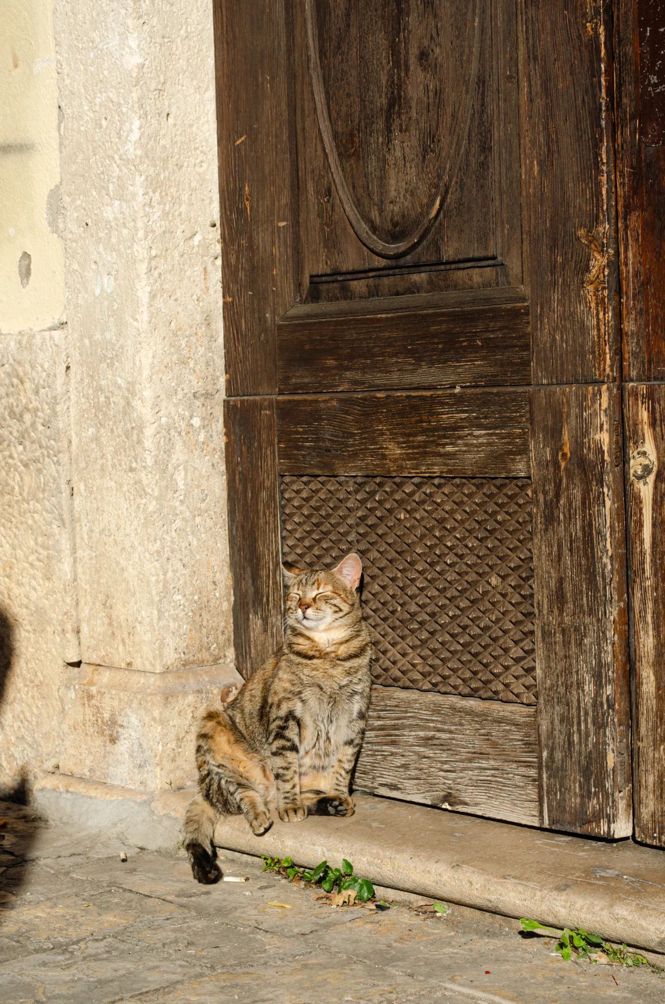 Old town Kotor 1