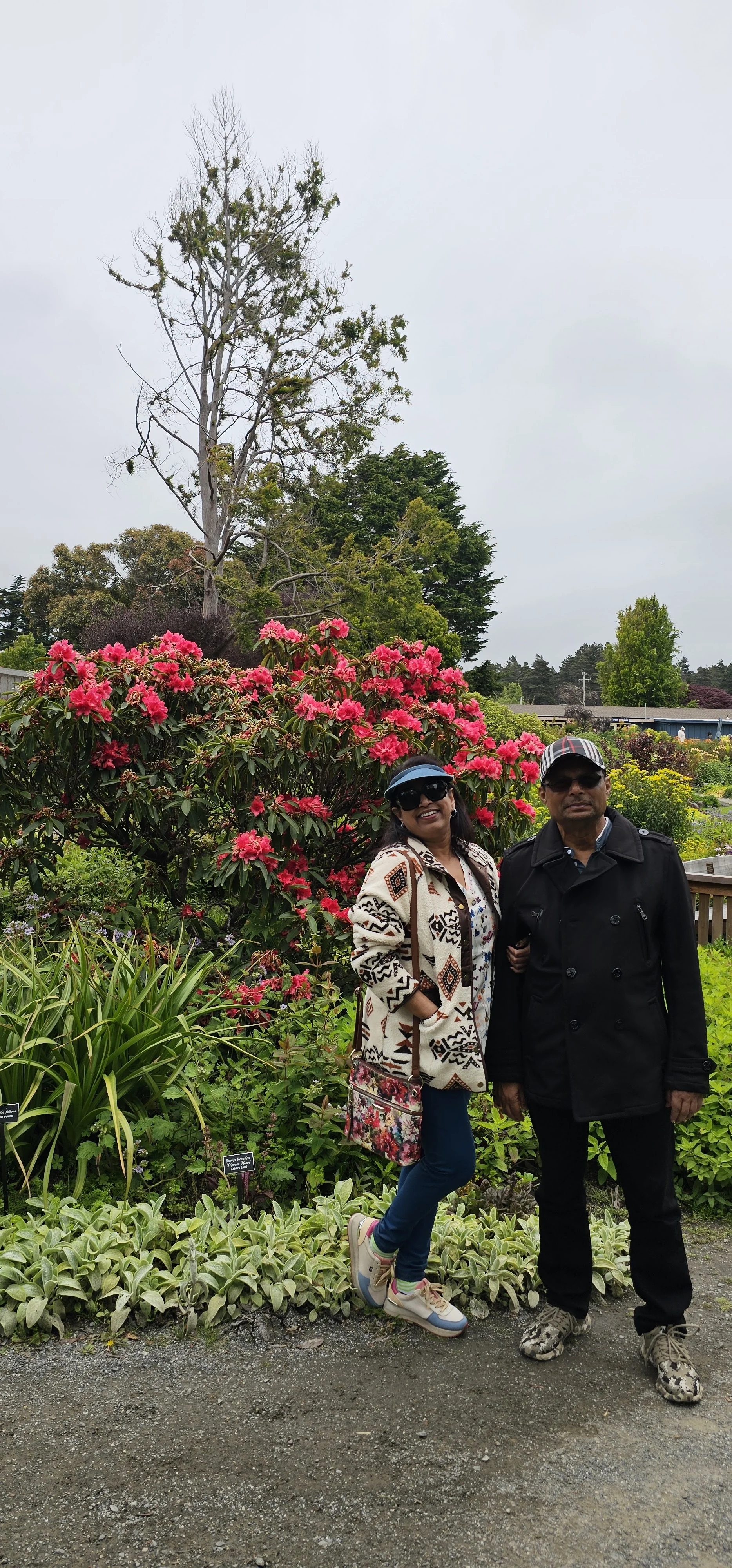Mendocino Coast Botanical Gardens 1
